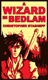 A Wizard in Bedlam eBook edition cover art