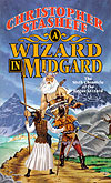 A Wizard in Midgard cover art